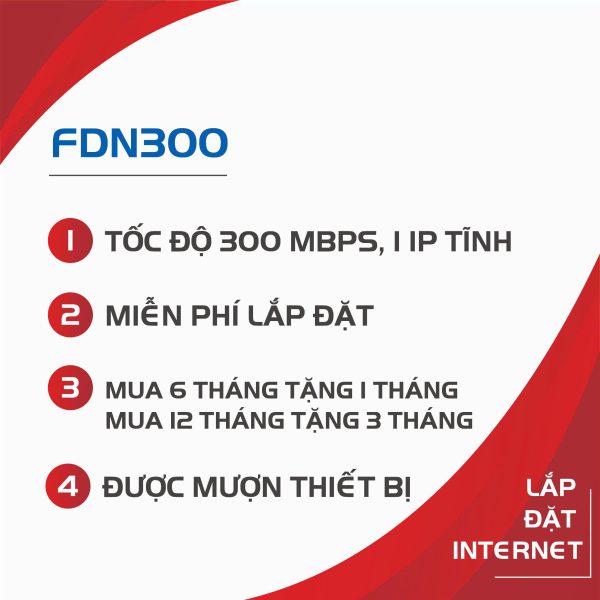 FDN300